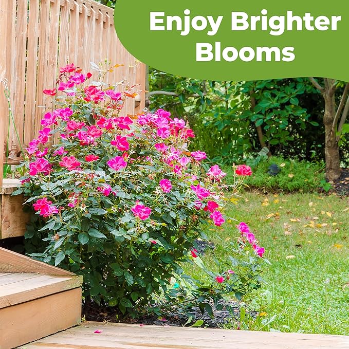 Specialty Rose Planting Mix by Perfect Plants | Premium Nutrients for Flowering Roses Such as Drift, Knockout, and Heirloom (4qt)