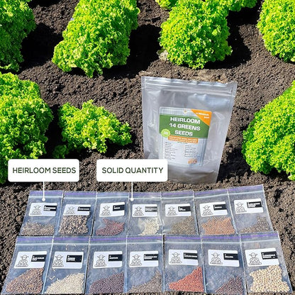 14 Varieties Heirloom Non-GMO Lettuce and Greens Seeds Pack for Outdoor and Indoor Gardening & Hydroponics, 6380 Seeds - Spinach, Bibb, Iceberg, Butter, Oakleaf, Black Seeded Simpson, Romaine & More