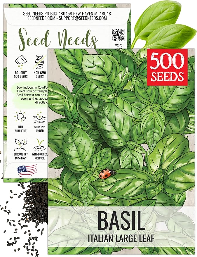 Seed Needs Basil Seeds for Planting Italian Large Leaf Herbs - Non-GMO Heirloom & Untreated - Grow an Indoor or Outdoor Home Grown Herb Garden (1 Pack)
