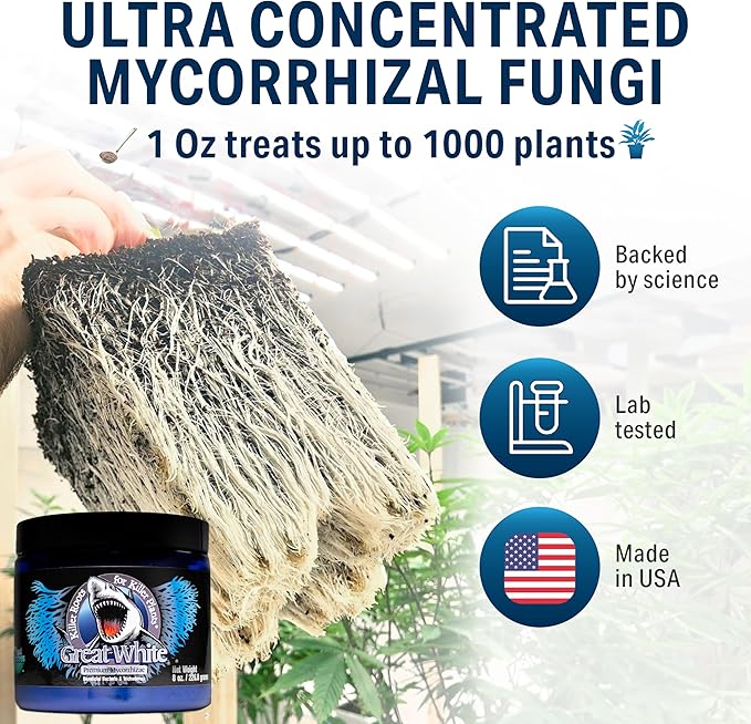 Great White Mycorrhizal Fungi 1 oz, Beneficial Bacteria for Plant Growth, Root Stimulator, Concentrated 3-in-1 Formula by Plant Success