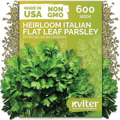 KVITER 600 Flat Leaf Italian Parsley Seeds (Petroselinum crispum) - Flavorful Classic Flat Leaf Parsley Seed Packets - Non GMO & Heirloom Seeds for Planting in Kitchen Herb Garden, Containers & Beds