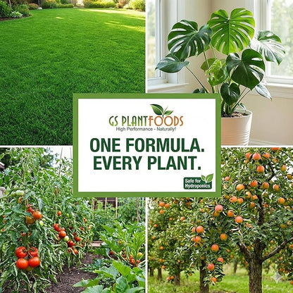 GS Plant Foods Humic Acid Soil Amendment – Leonardite-Derived Liquid Concentrate for Improved Soil Structure & Nutrient Availability – OMRI Listed for Organic Use – 55 Gallons