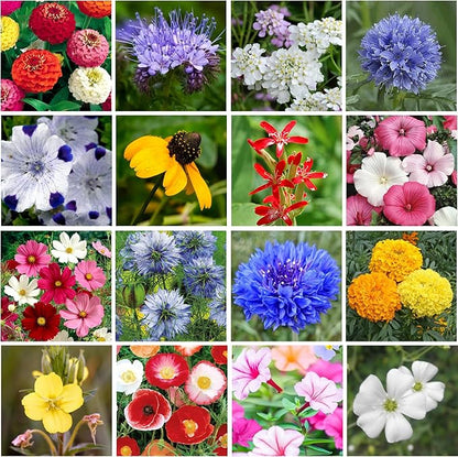 Wildflower Seed Shaker – Annual Mix by GevaGrow | 17 Variety Flower Seeds for Planting in Pots & Outdoor Gardens, Bulk 300,000+ Seeds - 1 Pound Tub