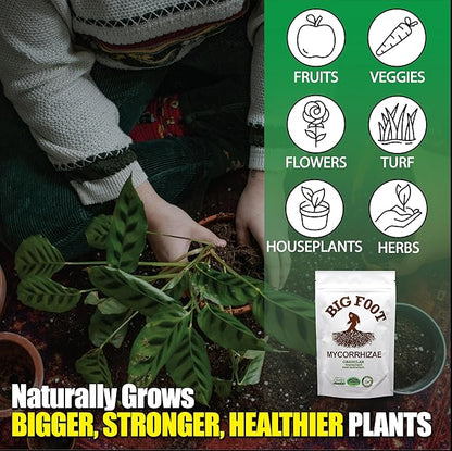 Big Foot Mycorrhizae - Double Your Plant Size – Easy to Use – Made in USA – Treats 30 Plants (7,500 mycorrhizal Spores)