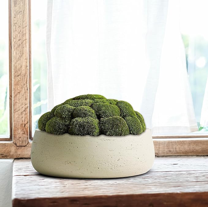 Olly & Rose Barcelona Off-White Ceramic Plant Bowl - 11 Inch - Indoor Outdoor Planter and Table Decor