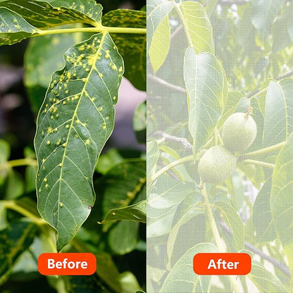 Alpurple Insect Bird Barrier Netting Mesh-10 x 15 Feet Garden Bug Netting Plant Cover for Protect Plant Fruits Flower from Insect Bird Eating