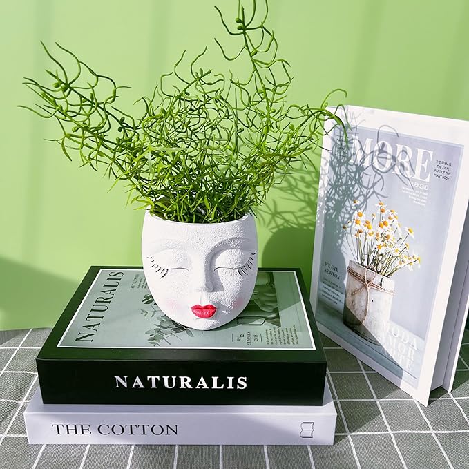 Small Face Succulent Pots Handmade Resin Lady Head Planter Cute Flower Pots Funny Succulent Planter for Indoor and Outdoor Plants White 1Pack