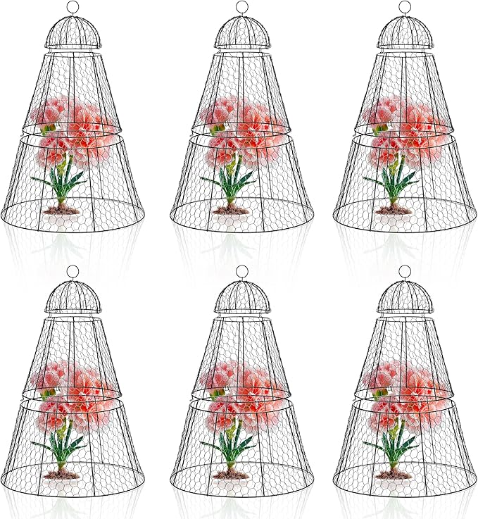 Easy-Snap Open Design Chicken Wire Cloche (6-Pack) - Adjustable Garden Plant Protectors from Birds & Animals for Large Plants & Flowers, 18" Dx26 H (L)