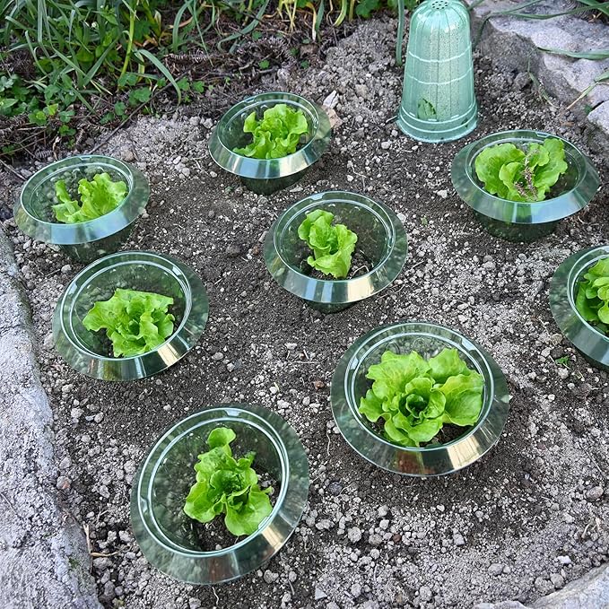 10 Pack Slug Collars for Plants,Medium-Sized Snail Protection Ring, Provides Effective Protection Against Snails for Your Salad Plants and Others Plants.