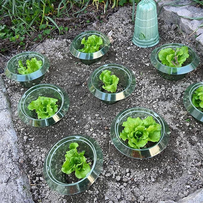 10 Pack Slug Collars for Plants,Medium-Sized Snail Protection Ring, Provides Effective Protection Against Snails for Your Salad Plants and Others Plants.