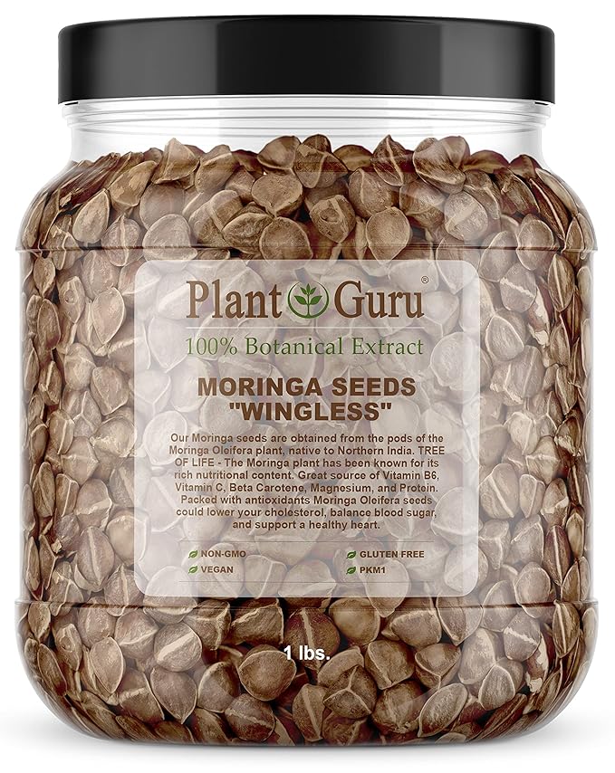Moringa Seeds Wingless 1 lb. Wide Mouth JAR - PKM1 Variety - Edible Snacking - Planting - Moringa Oleifera - Malunggay - Semillas De Moringa - Drumstick Tree - Non-GMO - 1600 to 2000 Seeds
