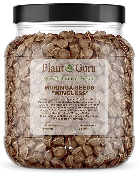 Moringa Seeds Wingless 1 lb. Wide Mouth JAR - PKM1 Variety - Edible Snacking - Planting - Moringa Oleifera - Malunggay - Semillas De Moringa - Drumstick Tree - Non-GMO - 1600 to 2000 Seeds