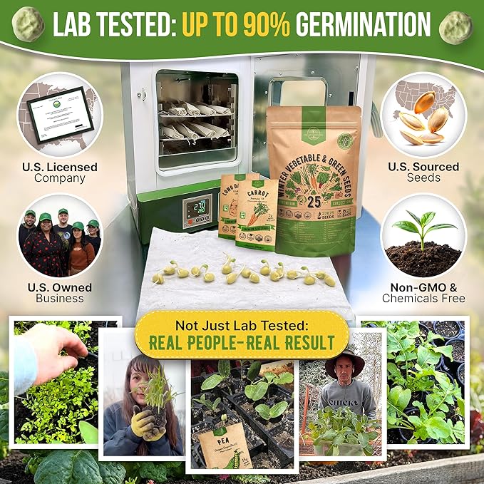 Organo Republic 25 Winter Vegetable & Green Seeds Variety Pack for Outdoors & Indoor Home Gardening 27670+ Non-GMO Heirloom Seeds: Broccoli Beet Carrot Collard Lettuce Radish Spinach Pea Kohlrabi