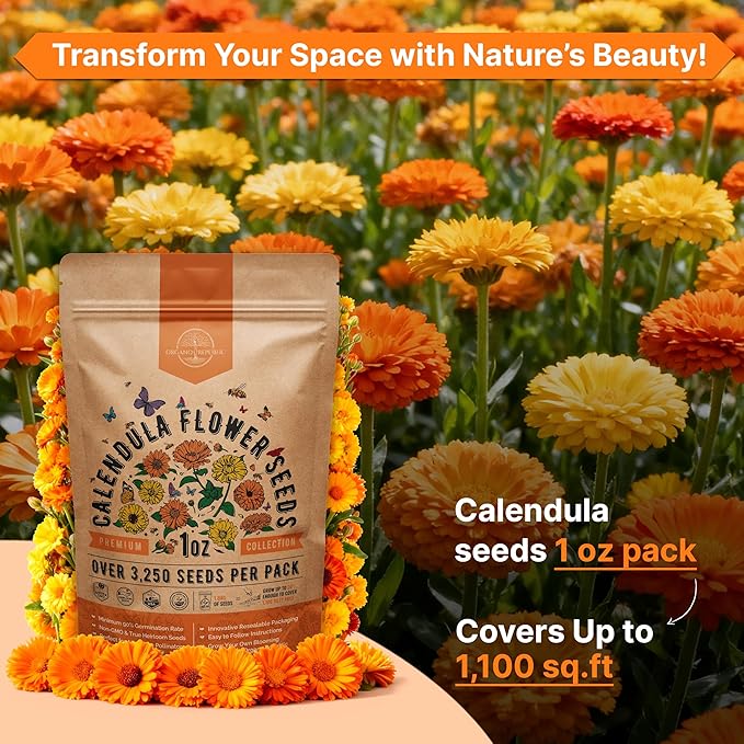 Calendula Seeds Pack 1 oz - Over 3,250 Non-GMO Heirloom Calendula Seeds for Planting Indoor & Outdoor Gardening, Flower Seed for Planting Home and Garden, Flowers Seed in Individual Packet