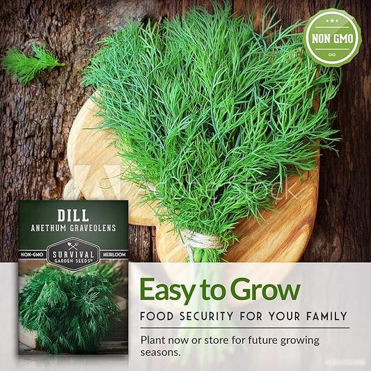 Easy to Grow Herb Seeds Variety Pack | 5 Heirloom Kitchen Herbs for Planting – Basil, Cilantro, Dill, Parsley, Lemon Balm – Indoor & Outdoor Growing for Kids & Beginners – Survival Garden Seeds