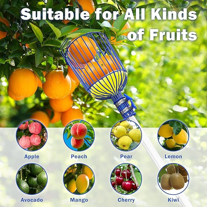 Fruit Picker Upgraded Round Claws Can Reduce Fruit Damage Lengths from 5 to 13 Feet Fruit Picker Pole with Basket Telescoping Suitable for Cherry Lemon Pear Mango Trees and More (95inch)