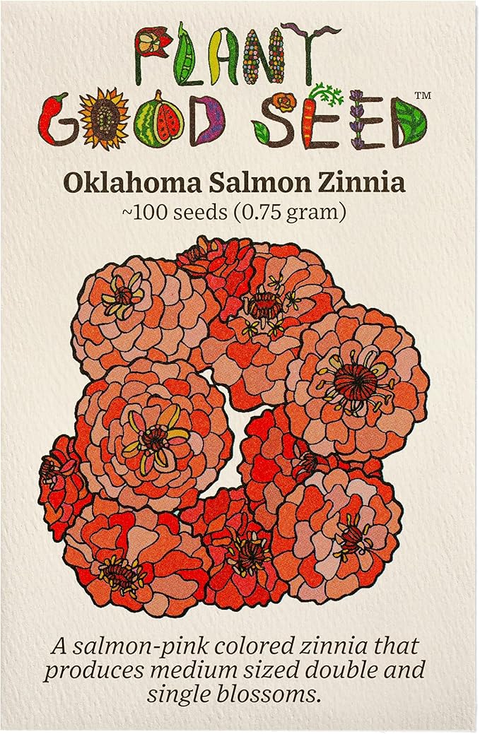 Plant Good Seed Organic Oklahoma Salmon Zinnia Seeds for Planting: Medium Double/Semidouble Flowers, Pink Orange Blossoms - 100 Seed Packet