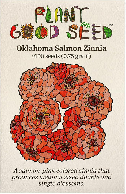 Plant Good Seed Organic Oklahoma Salmon Zinnia Seeds for Planting: Medium Double/Semidouble Flowers, Pink Orange Blossoms - 100 Seed Packet