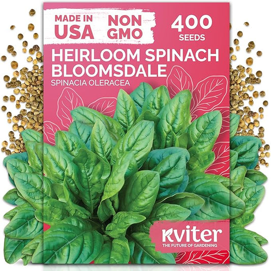 KVITER 400 Bloomsdale Spinach Seeds (Spinacia oleracea) — Non-GMO & Heirloom, Heat Tolerant, Cut and Come Again — Spinach Organic Vegetable Seeds for Planting in Outdoor & Indoor Garden, Containers
