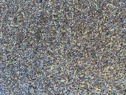 Premium Chicken Poultry Pasture Forage and Fodder Seeds (5-lb. Bag) - [33% Each: Clovers, Supplemental, Grains]