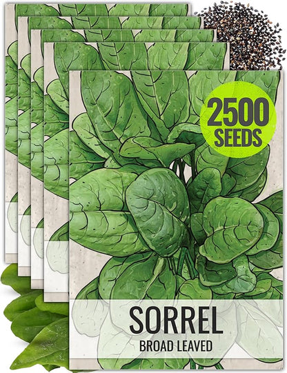 Seed Needs Large Leaf Sorrel Seeds for Planting - Heirloom Non-GMO & Untreated Medicinal or Culinary Herb - Grow a Home Grown Outdoor Garden (5 Packs)