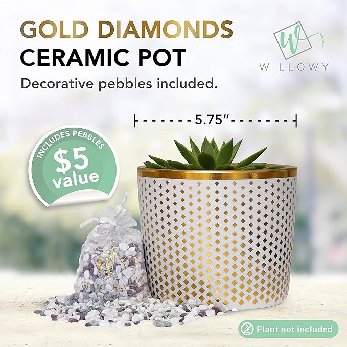 6 Inch Ceramic Plant Pot - Small White Planter with Gold Diamonds - Perfect for Succulents Like Jade & Cactus - Decorative Pebbles Included - Cute Flower Pots Indoor or Outdoor Home Décor