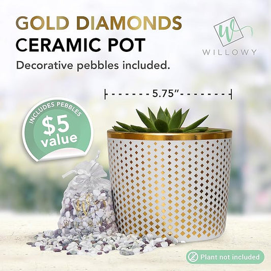 6 Inch Ceramic Plant Pot - Small White Planter with Gold Diamonds - Perfect for Succulents Like Jade & Cactus - Decorative Pebbles Included - Cute Flower Pots Indoor or Outdoor Home Décor