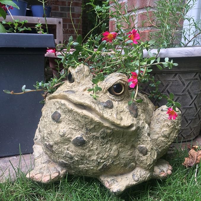 Toad Hollow HomeStyles Extra Large Toad Planter 10.5" H Holds 6" W Pot, Natural Brown
