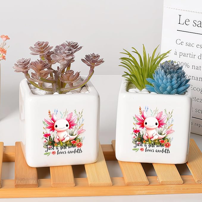 Axolotl Succulent Planter Flower Plant Pot Small, Gifts for Women Teens Girls Kids, Axolotl Lovers Themed Stuff Accessories Things Decor Merch, Home Office Table Desk Decoration!