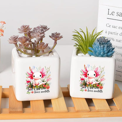 Axolotl Succulent Planter Flower Plant Pot Small, Gifts for Women Teens Girls Kids, Axolotl Lovers Themed Stuff Accessories Things Decor Merch, Home Office Table Desk Decoration!