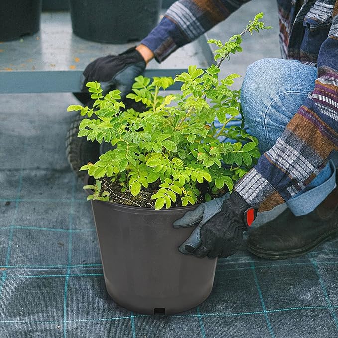 Planter Nursery Pots 3.1 Gallon Pots for Plants, Injection Molded Plastic Nursery Pots, Plant Container 3.1 Gal 10-Pack