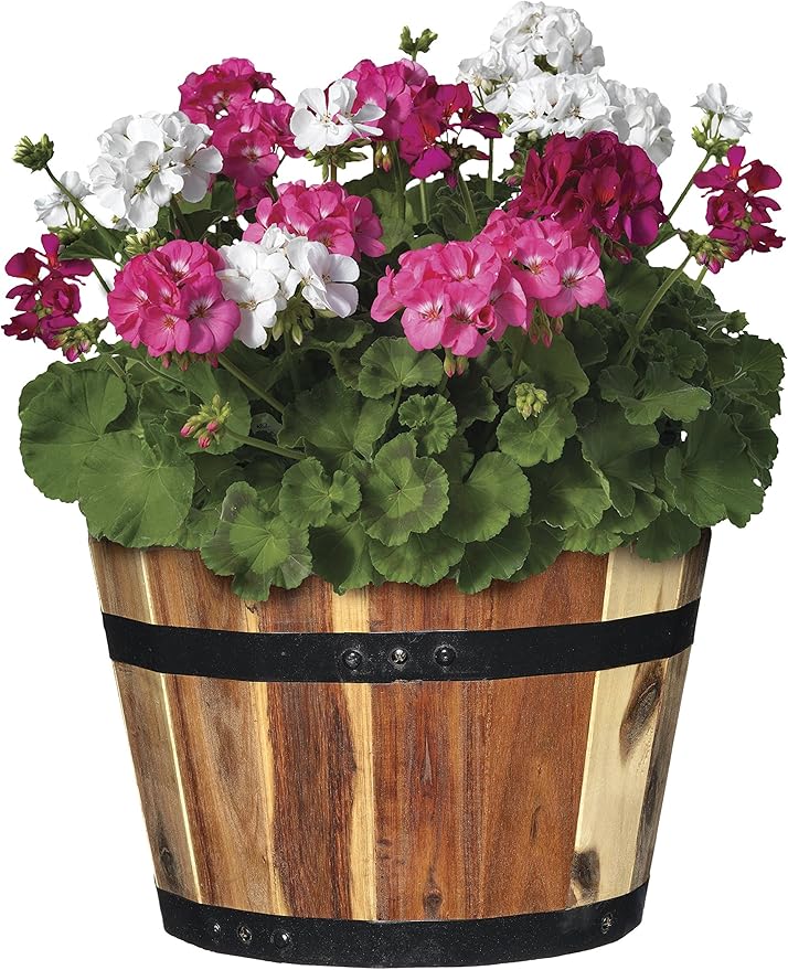 Classic Home and Garden 5/800/3 Wood Barrel Set of 3 Planters, Acacia
