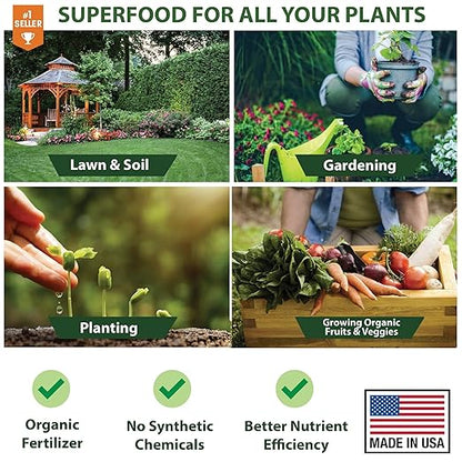 𝐁𝐄𝐒𝐓𝐒𝐄𝐋𝐋𝐄𝐑 Organic Cal-MAG Growing Fertilizer Concentrate: Calcium, Magnesium, Iron & Micronutrients Supplement for Plant Deficiencies (9-0-0 NPK) - [32 OZ / 1 Quart]
