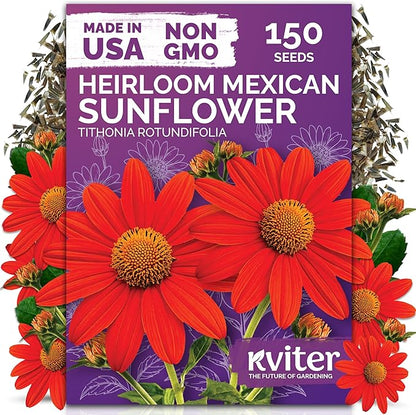 KVITER 150 Mexican Sunflower Seeds For Planting (Tithonia rotundifolia) – Tithonia Seed Packets Bulk, Red Sunflower Heirloom Seed Orange Sunflowers – Flower Seeds Garden Beds and Outdoor Flower Garden