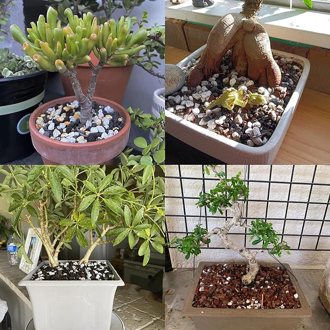 Organic Pumice for Bonsai and Horticultural 100% Natural (2 gallons, 1/2 inch)