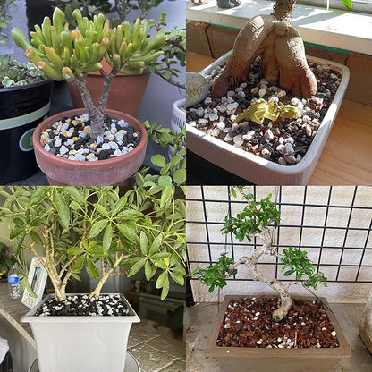 Organic Pumice for Bonsai and Horticultural 100% Natural (2 gallons, 1/2 inch)