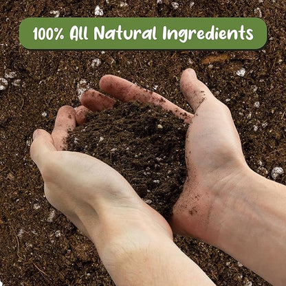 Soil Sunrise Tropical House Plant Potting Mix (12 Quarts); for All Types of Indoor House Plants
