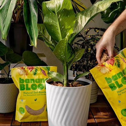Banana Bloom – Sustainable Banana Fiber | Alternative to Coco Coir & Peat | Perfect for Tropical Houseplants | Better Water Retention for Gardens | 1 lb Bag