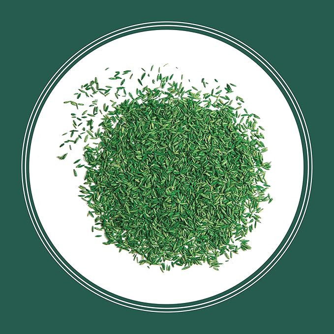 Pennington Smart Seed Sun and Shade Grass Mix 20 lb, Black Label