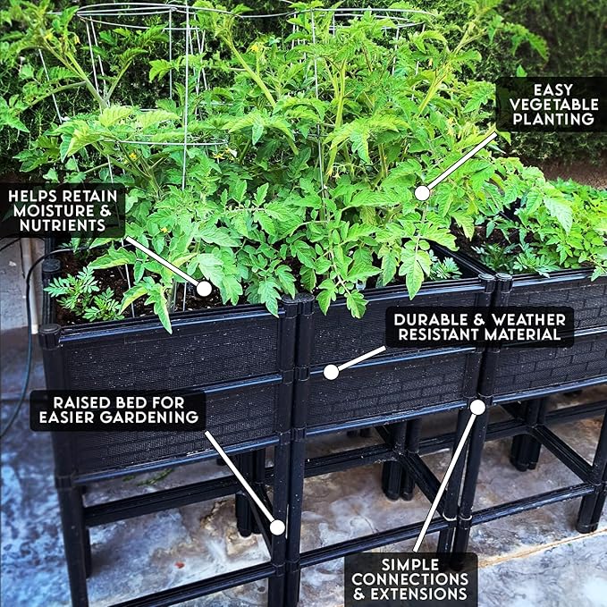 Elevated Raised Garden Bed with Legs 14" Depth Planter Box | Non-Toxic Sun Protected Material | 36" L X 24" W X 27" H for Easy Planting | Vegetable & Herb Backyard Patio