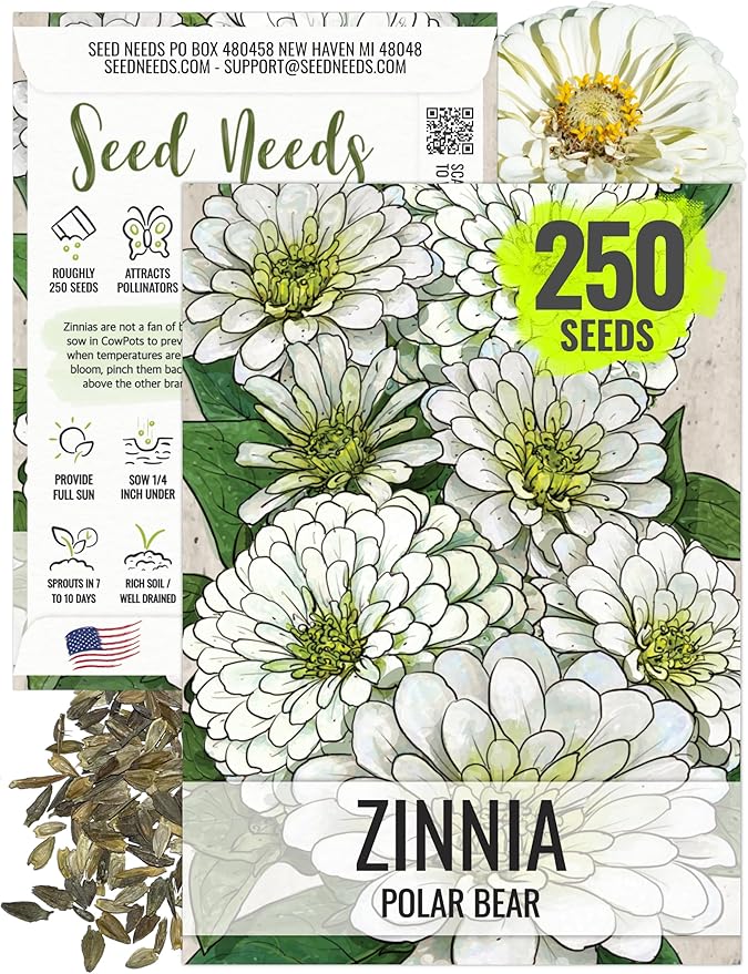 Seed Needs Polar Bear White Zinnia Seeds for Planting - Heirloom & Untreated - Grow a Butterfly Garden to Attract Butterflies, Bees and Pollinators - Great Cut Flowers (1 Pack)