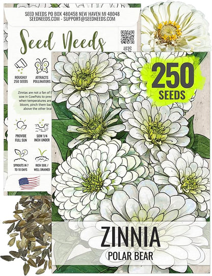Seed Needs Polar Bear White Zinnia Seeds for Planting - Heirloom & Untreated - Grow a Butterfly Garden to Attract Butterflies, Bees and Pollinators - Great Cut Flowers (1 Pack)