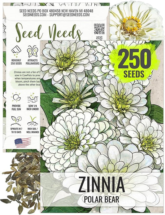 Seed Needs Polar Bear White Zinnia Seeds for Planting - Heirloom & Untreated - Grow a Butterfly Garden to Attract Butterflies, Bees and Pollinators - Great Cut Flowers (1 Pack)