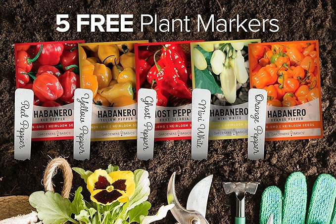 Gardeners Basics, Hot Pepper Seeds for Planting Ghost Habanero - 5 Varieties Pack Ghost Pepper Seeds, Red, Orange, Yellow, White Habanero Seeds for Planting in Garden Non GMO, Heirloom Peppers Seeds