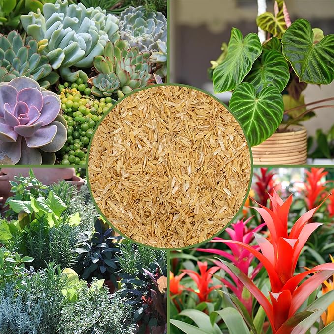 Soil Sunrise Organic Horticultural Grade Rice Hulls (8 Quarts) All-Natural Soil Amendment for Houseplants, Gardening, Seed Starting & Chicken Bedding