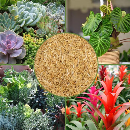 Soil Sunrise Organic Horticultural Grade Rice Hulls (8 Quarts) All-Natural Soil Amendment for Houseplants, Gardening, Seed Starting & Chicken Bedding