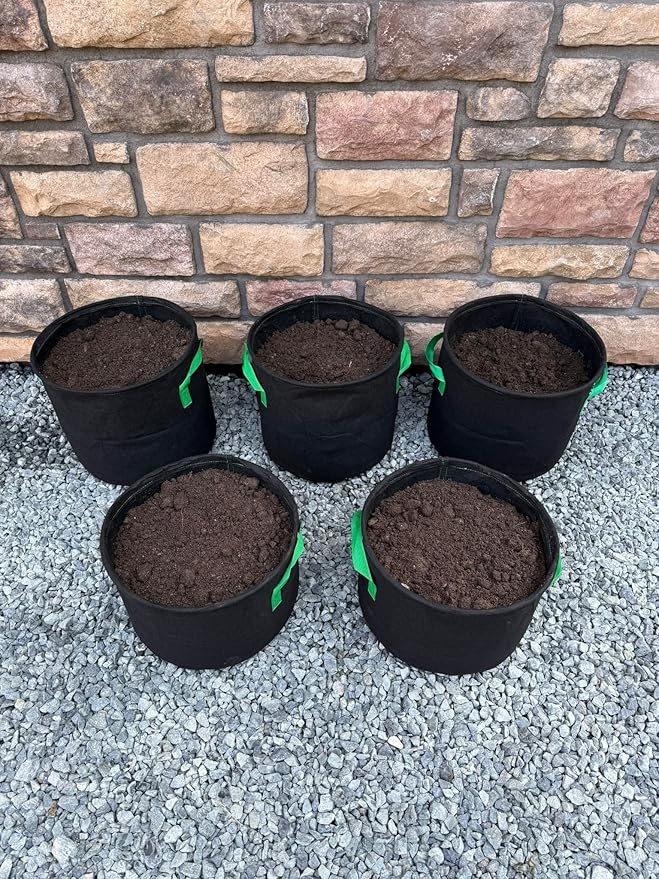 Seeding Square Fabric Grow Bags (7 Gallon) – Durable, Reusable Air-Pruning Plant Pots for Vegetables, Fruits & Herbs – Eco-Friendly Breathable Planter Bags for Healthy Roots & Bigger Harvests