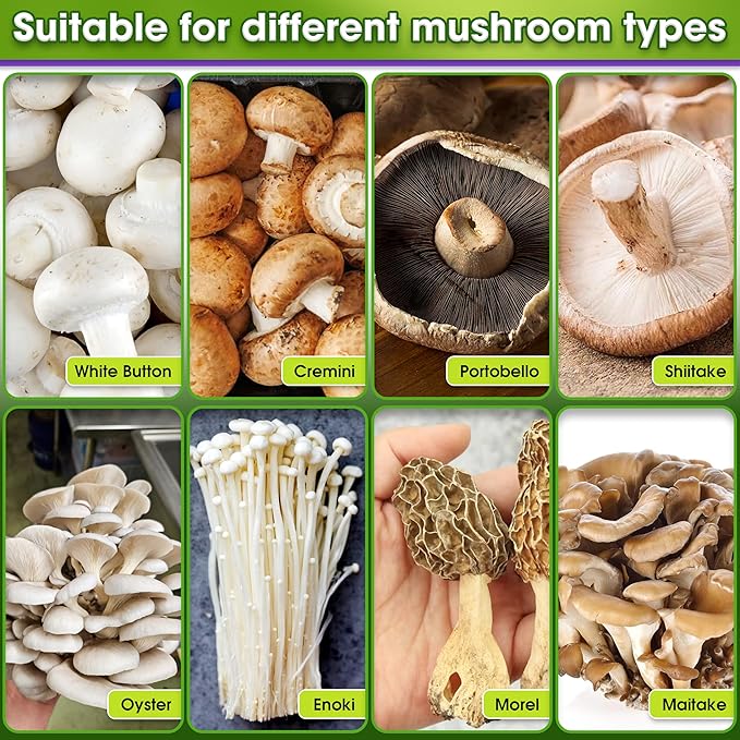 DUSPRO Recycle Premium 4-in-1 Mushroom Substrate Mix with Coco Coir, Zeolite, Gypsum & Vermiculite – Ideal Mushroom Growing Mix for Gardening, Moisture Retention, pH Balance & Ready to Use Mixture 2QT