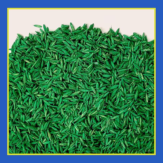 Pennington Smart Seed Clover and Grass Mix 7 lb,(Pack of 2)