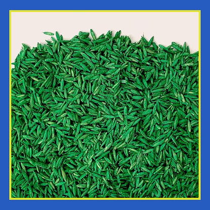 Pennington Smart Seed Clover and Grass Mix 7 lb,(Pack of 2)